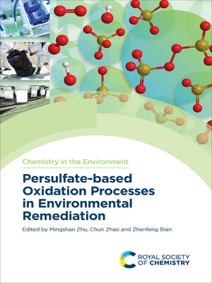 cover image of Persulfate-Based Oxidation Processes in Environmental Remediation